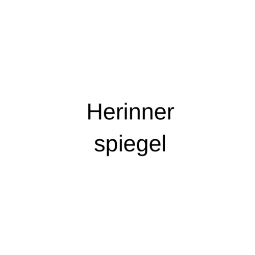 Herinner-spiegel
